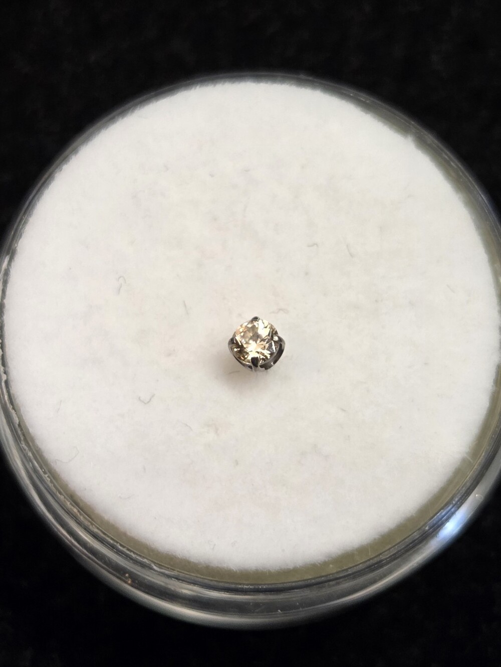 NeoMetal Threadless Titanium Prong-set Gem End Champage 2.5mm